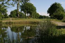 STAGES de GOLF  POUR LES ADULTES